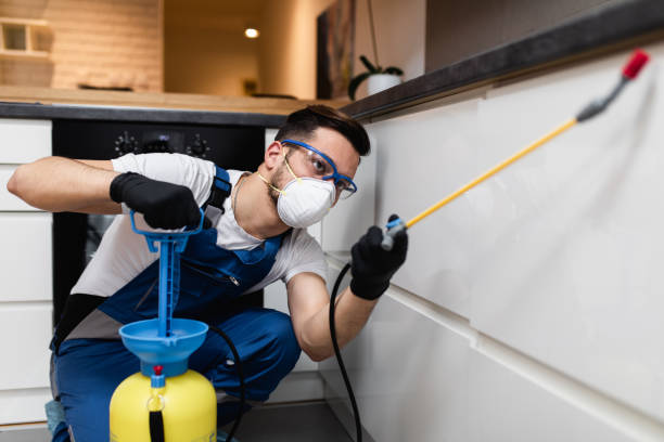 Best Exterminator Services  in Elkins, WV