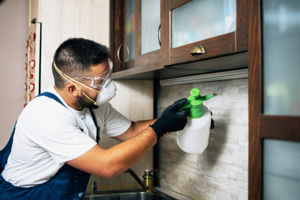 Pest Prevention Services in Elkins, WV