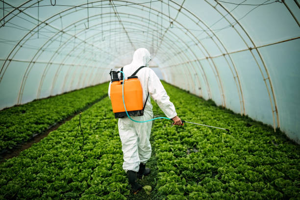 Best Best Pest Control Companies  in Elkins, WV